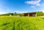 22 Lynch Road, Levels - Carousel 15