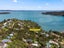 1B Burrell Road Extension, Oneroa, Waiheke Island - Carousel 31
