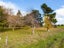 0 Little Wanganui, Little Wanganui, Karamea - Carousel 15