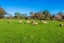 277 Taupaki Road, Taupaki, Henderson - Carousel 12