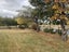 58 Clinton Highway, Te Houka - Carousel 19
