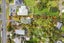 1064 Scenic Drive North, Swanson, Auckland - Carousel 25