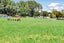243D Mill Flat Road, Riverhead, Auckland - Carousel 14