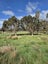 50 Painua Road, Hokio Beach, Levin - Carousel 8