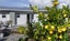 52 Kimihia Road, Huntly, Huntly - Carousel 21