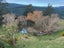 121 Silverstream Valley Road, North Taieri, Mosgiel - Carousel 19