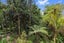285 Spencer Road, Lake Tarawera, Rotorua - Carousel 22