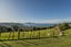 899D Purangi Road, Cooks Beach, Whitianga - Carousel 35