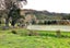 846 Old Mountain Road, Waitetuna - Carousel 46