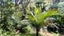 877 Tiki Quarry Road, Preece Point, Coromandel - Carousel 13