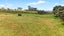 1014 South Head Road, Helensville - Carousel 48