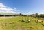 57 McGiven Drive, Ridgewood, New Plymouth - Carousel 20