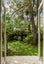 29 Atkinson Road, Titirangi, Auckland - Carousel 8
