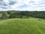 242 Mercer Ferry Road, Mercer - Carousel 12