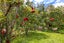 472A Sea View Road, Onetangi, Waiheke Island - Carousel 20