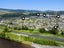 1/12 Poplar Grove, Ebdentown, Upper Hutt - Carousel 21
