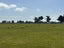 750 Woodlands Invercargill Highway, Longbush, Invercargill - Carousel 13