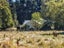 7189 Wedderburn-Becks Road, Wedderburn, Ranfurly - Carousel 1