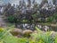 471 Coatesville-Riverhead Highway, Albany - Carousel 31