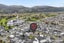 4 Kilmister Grove, Boulcott, Lower Hutt, Wellington - Carousel 26