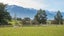 87 Green Lane, Kaikoura - Carousel 16