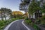 1275 Wyuna Bay Road, Wyuna Bay, Coromandel - Carousel 46