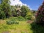 35 Scotland Street, Roxburgh, Roxburgh - Carousel 20