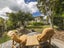 22 Collingwood Street, Hokowhitu, Palmerston North - Carousel 23