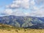 452 Southernthread Road, Brooklyn, Wellington - Carousel 6