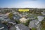21A Oakdale Road, Mount Roskill, Auckland - Carousel 22