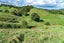 83 Paparoa Station Road, Paparoa, Paparoa - Carousel 12