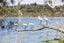 20 Te Ara O Tahataharoa, Te Puna, Tauranga - Carousel 2