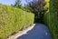 2/1 Henry Hill Road, Taupo, Taupo - Carousel 23