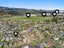 28 Omaha Grove, Totara Park, Upper Hutt - Carousel 25