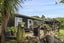 1477 State Highway 30, Rotoiti Forest, Rotorua - Carousel 16