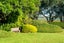 69 Walter Strevens Drive, Conifer Grove, Takanini - Carousel 20