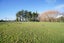 275 Drysdale Road, Myross Bush - Carousel 12