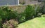 6C Gibraltar Street, Howick, Auckland - Carousel 17
