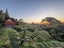 35 Sunglo Terrace, Otaki - Carousel 33