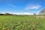 222 Tinwald Westerfield Mayfield Road, Tinwald, Ashburton - Carousel 45