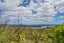 404 Lees Road, Hahei - Carousel 3