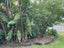 66 Elliot Street, Pahurehure, Papakura - Carousel 4