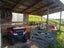 48 Dunlop Road, Clydevale - Carousel 21