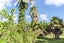 6388A South Road, Pungarehu, Opunake - Carousel 2
