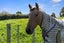 7 Martin Road, Waerenga - Carousel 21