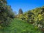 333 Paerata Ridge Road, Waiotahe, Opotiki - Carousel 16