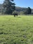 115 Gilmour Road, Roxburgh East, Roxburgh - Carousel 15