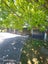 71 Railway Road, Dalefield, Carterton - Carousel 7