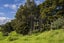 1933 Mangakahia Road, Titoki, Whangarei - Carousel 16