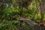 205 Okuti Valley Road, Little River, Little River - Carousel 23